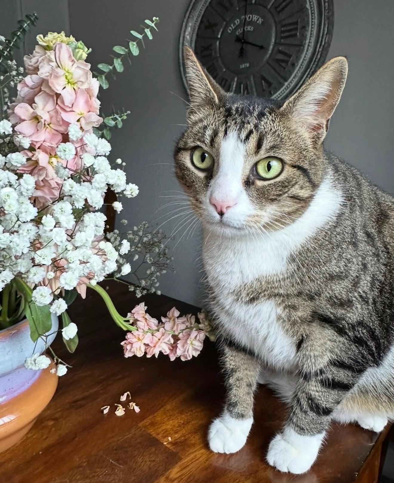 A curious tabby cat next to a vase of pink flowers